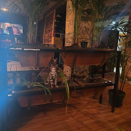 Portelli Hostal Zona G- Para Extranjeros Bogota Luaran gambar