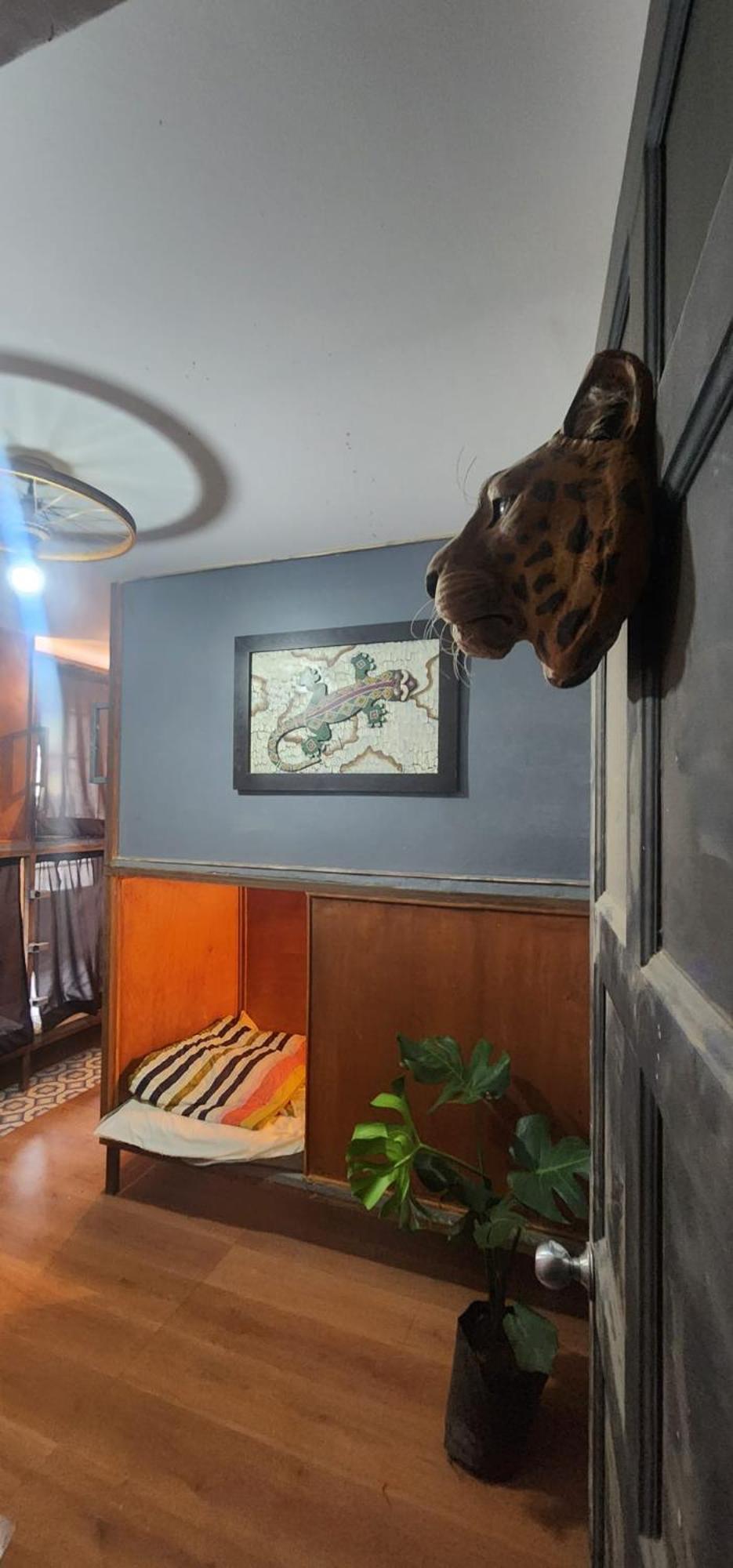 Portelli Hostal Zona G- Para Extranjeros Bogota Luaran gambar