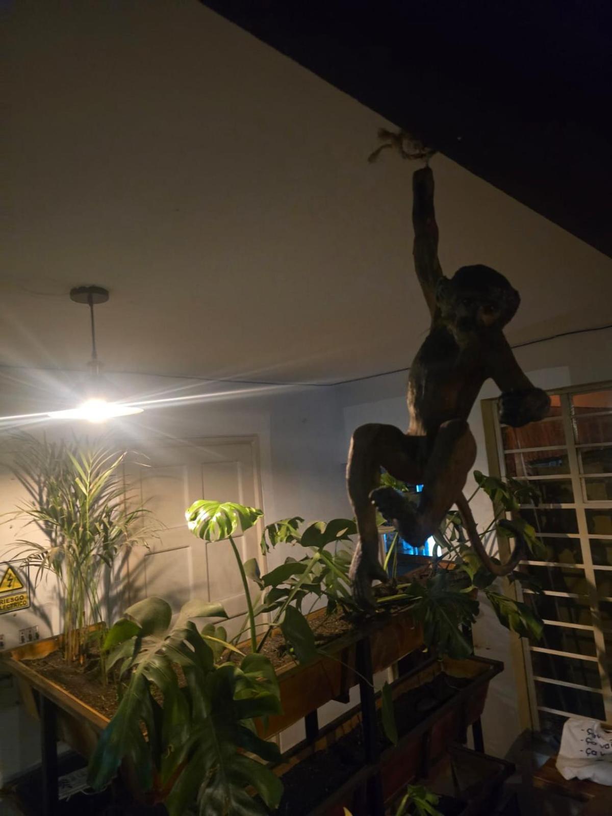Portelli Hostal Zona G- Para Extranjeros Bogota Luaran gambar