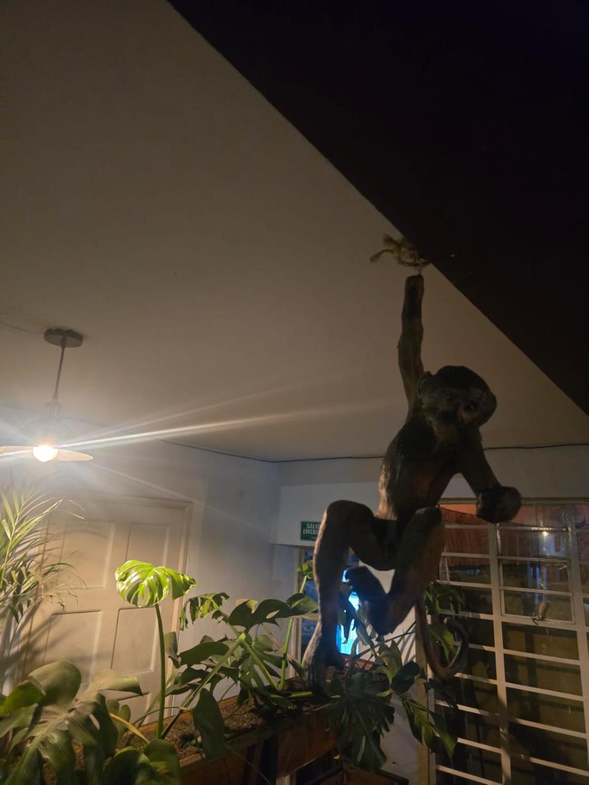 Portelli Hostal Zona G- Para Extranjeros Bogota Luaran gambar